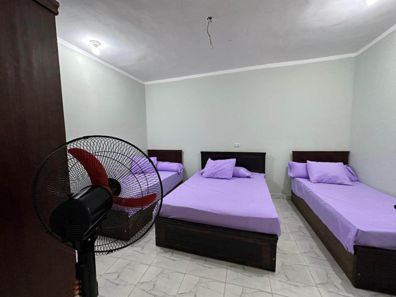 Skylen Hostel 후르가다 외부 사진